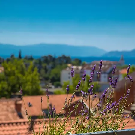 Apartman Zorica Crikvenica